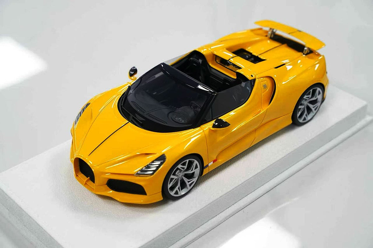 Henson & Heaven 1:18 Bugatti Mistral W16 - Go BABY