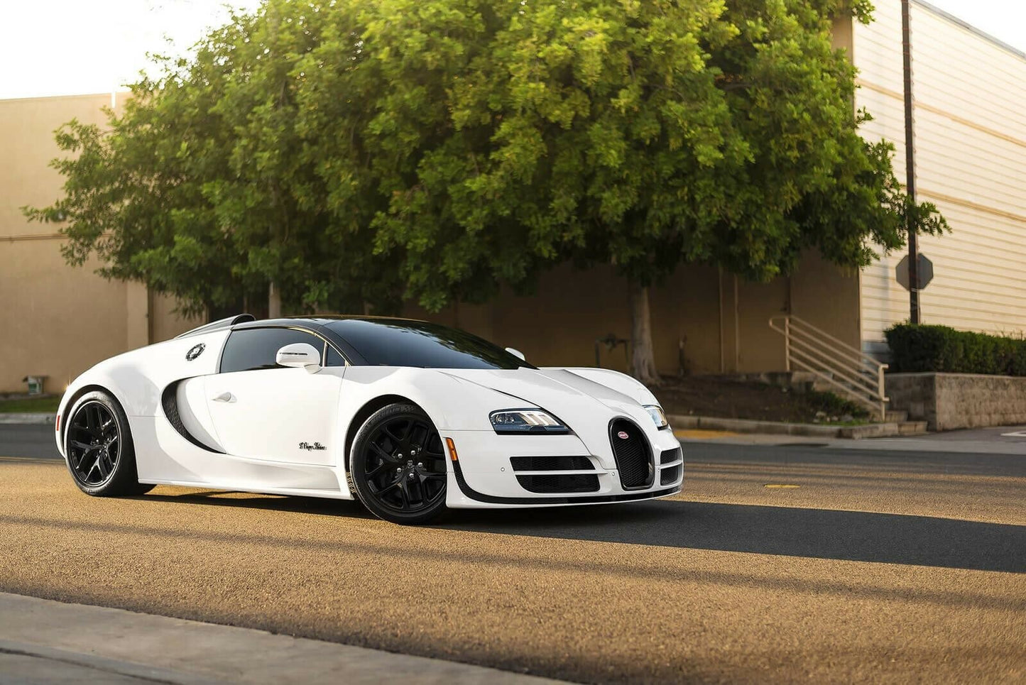 PREORDER HH Model x Miniature Planet 1:18 Bugatti Veyron Vitesse L'Orque Blanc 1 of 1'