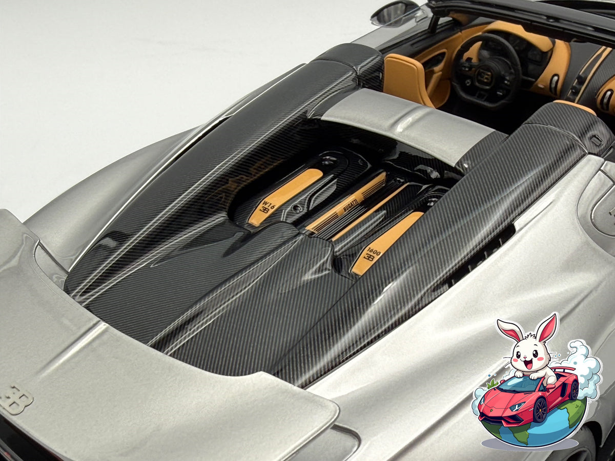 Henson & Heaven 1:18 Bugatti Mistral W16 - Titanium Silver