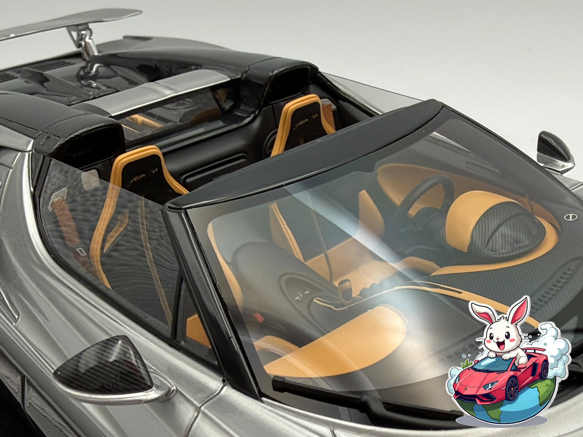 Henson & Heaven 1:18 Bugatti Mistral W16 - Titanium Silver