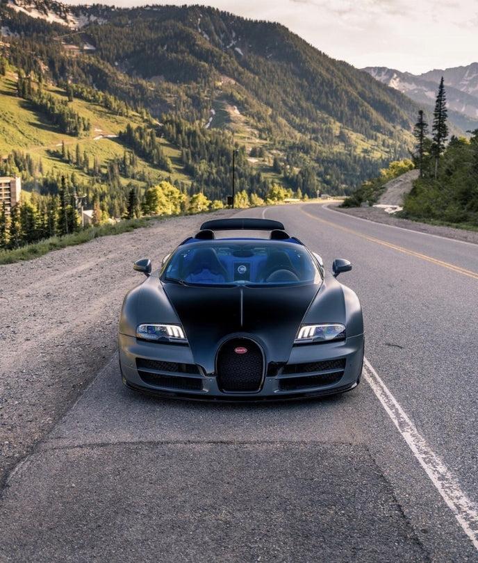 PREORDER 1:18 Bugatti Veyron Grand Sport Vitesse 'GRYBUG'